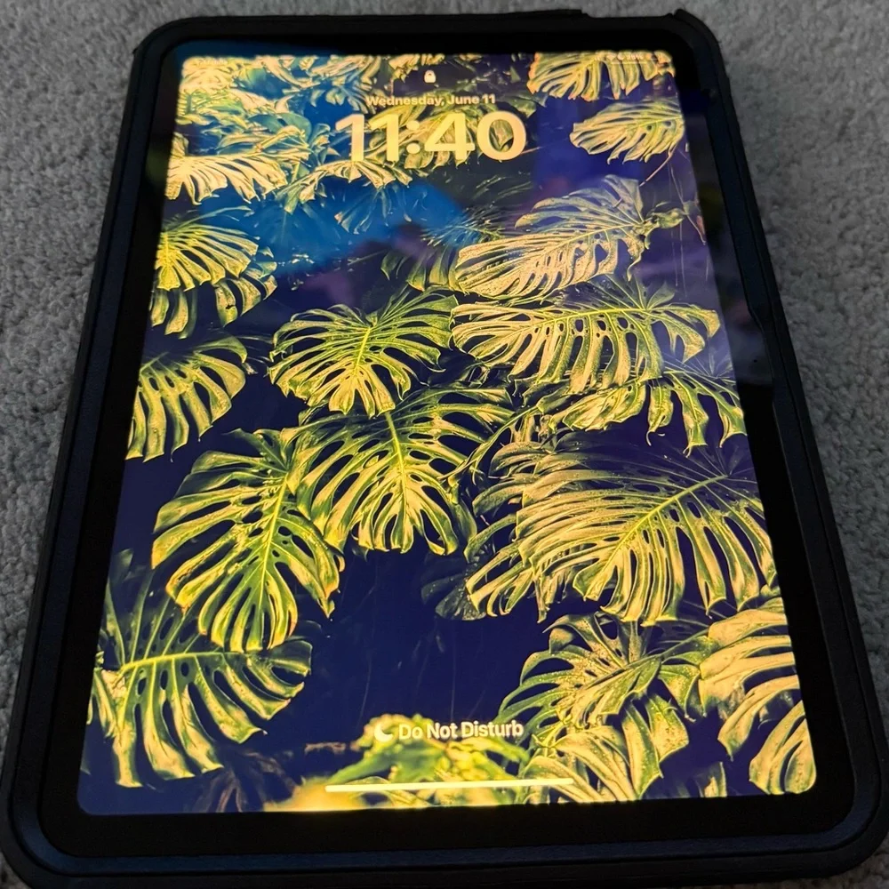 Apple ipad 10th gen - blue